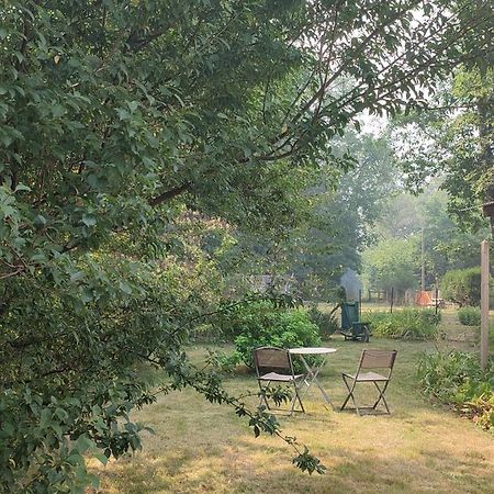Chalet Dans La Foret....Adorable 1 Bedroom Chalet Surrounded By Woodland Pressignac Ngoại thất bức ảnh