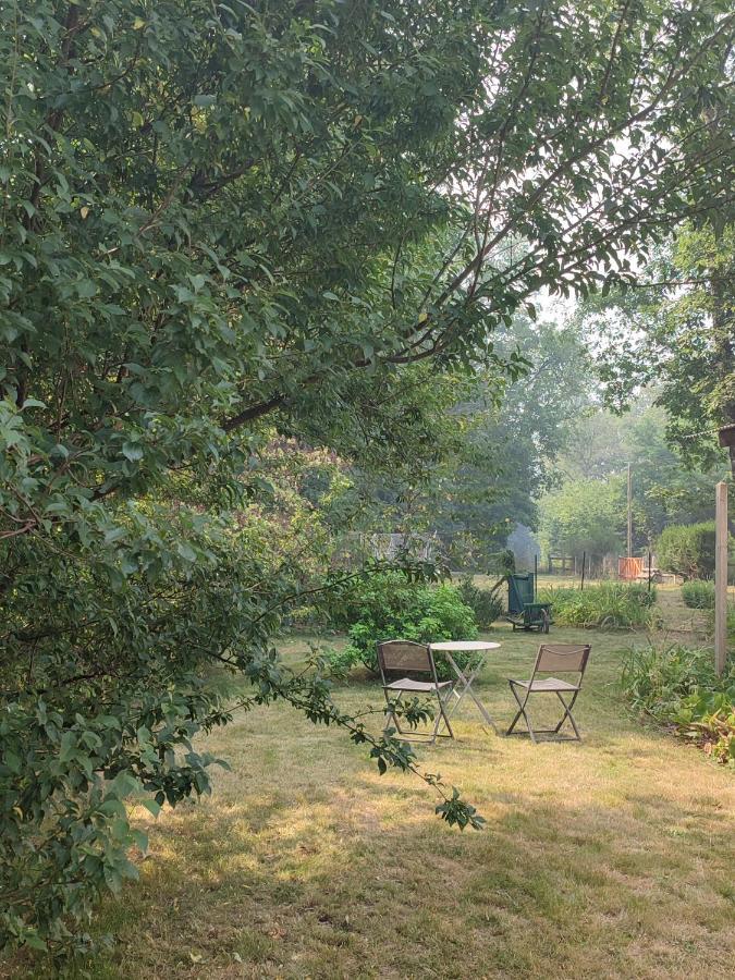 Chalet Dans La Foret....Adorable 1 Bedroom Chalet Surrounded By Woodland Pressignac Ngoại thất bức ảnh